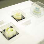 �V���K�[�f�R���[�V����