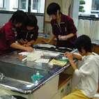 ���w�Z�o�s�`��e��2