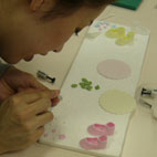 �o������