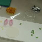 �o���o�s�`