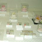 �V���K�[�f�R���[�V����