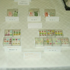 �V���K�[�f�R���[�V����