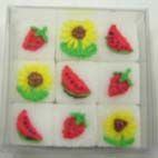 大垣市出張教室