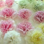 ��_�s���l�w�Z