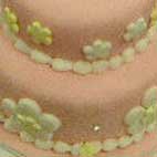 ��_�s���l�w�Z