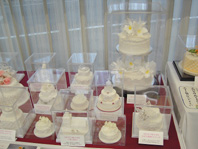 �V���K�[�N���t�g��i�W