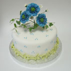 �V���K�[�P�[�L