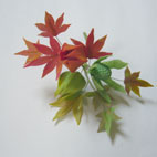 ホームメイド協会セミナー