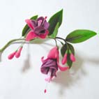 ホームメイド協会セミナー