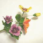 ホームメイド協会セミナー