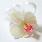 ホームメイド協会セミナー