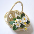 ホームメイド協会セミナー