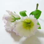 ホームメイド協会セミナー