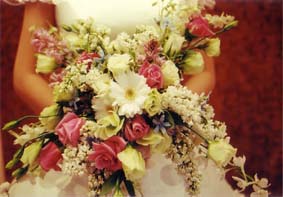 �c�A�f�B�[���E�E�G�f�B���O