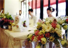 �c�A�f�B�[���E�E�G�f�B���O