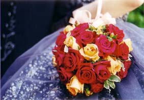 �c�A�f�B�[���E�E�G�f�B���O