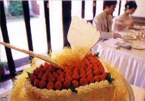 �c�A�f�B�[���E�E�G�f�B���O