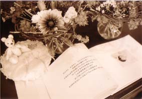 �c�A�f�B�[���E�E�G�f�B���O