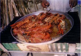 �N���u���b�h�����f�B�u