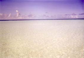 �N���u���b�h�����f�B�u