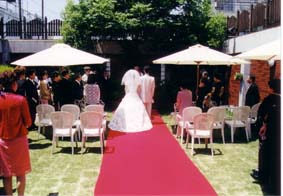 �c�A�f�B�[���E�E�G�f�B���O