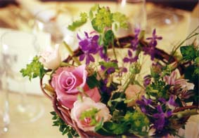 �c�A�f�B�[���E�E�G�f�B���O