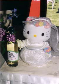 �c�A�f�B�[���E�E�G�f�B���O