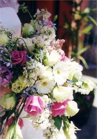 �c�A�f�B�[���E�E�G�f�B���O