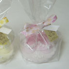 �V���K�[�N���t�g�̔�