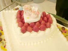 �V���K�[�N���t�g�E�G�f�B���O�P�[�L