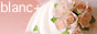blanc+